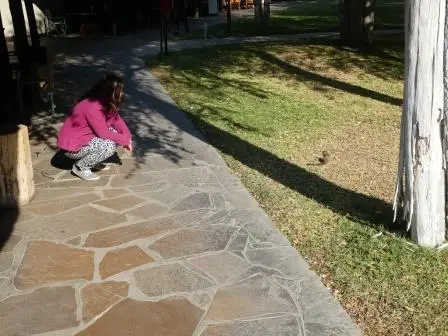 P1060194.JPG