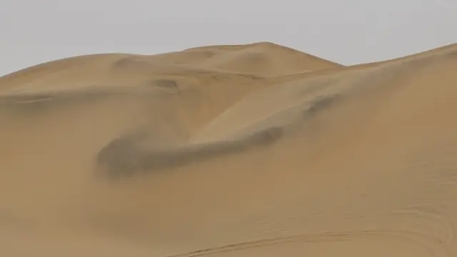 S1890010.jpg