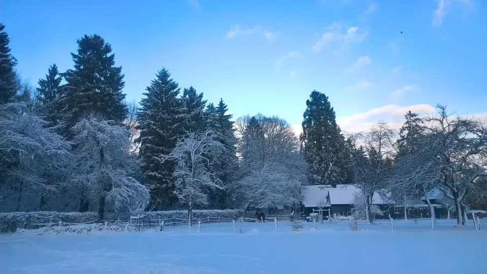 WP_20170113_15_04_02_Pro.jpg