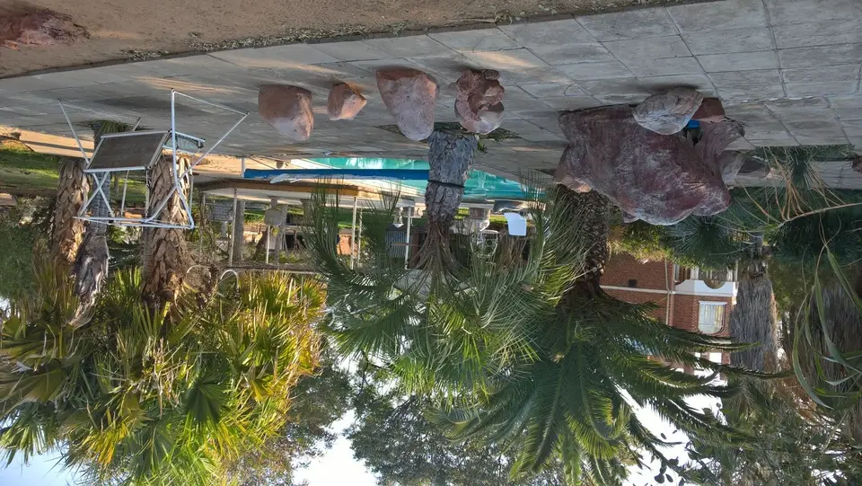 WP_20180809_09_02_53_Pro.jpg