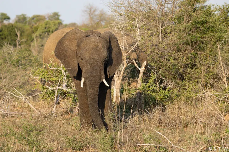 104A7569-2.jpg