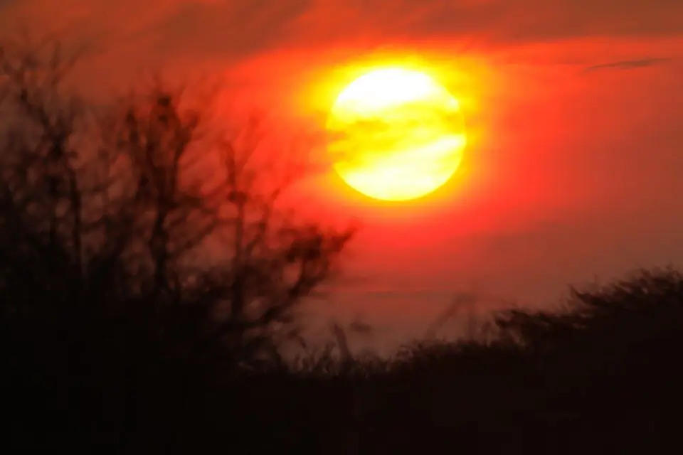 6B9A1583-2.jpg