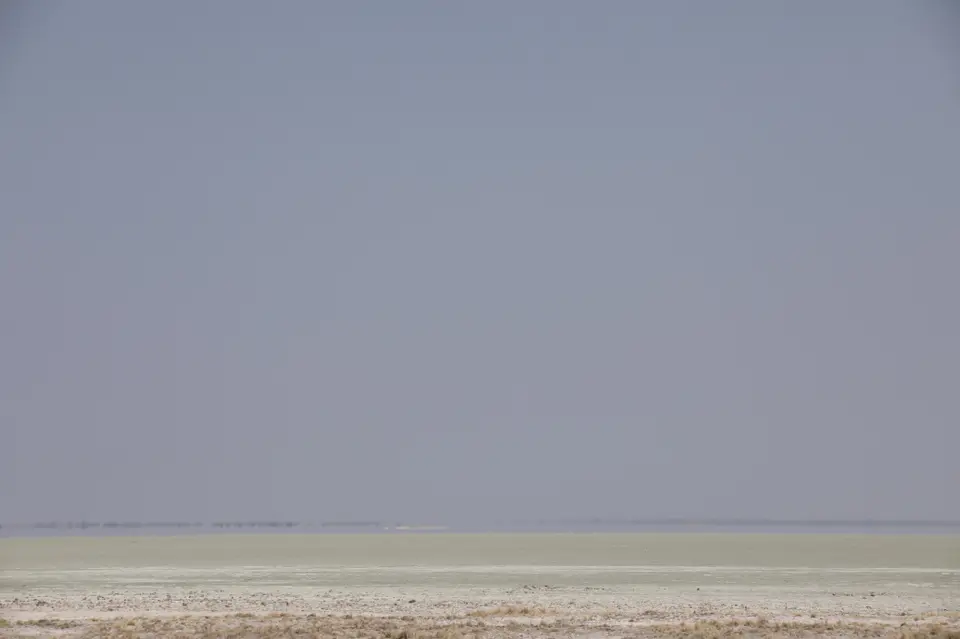 6B9A2114_1.JPG
