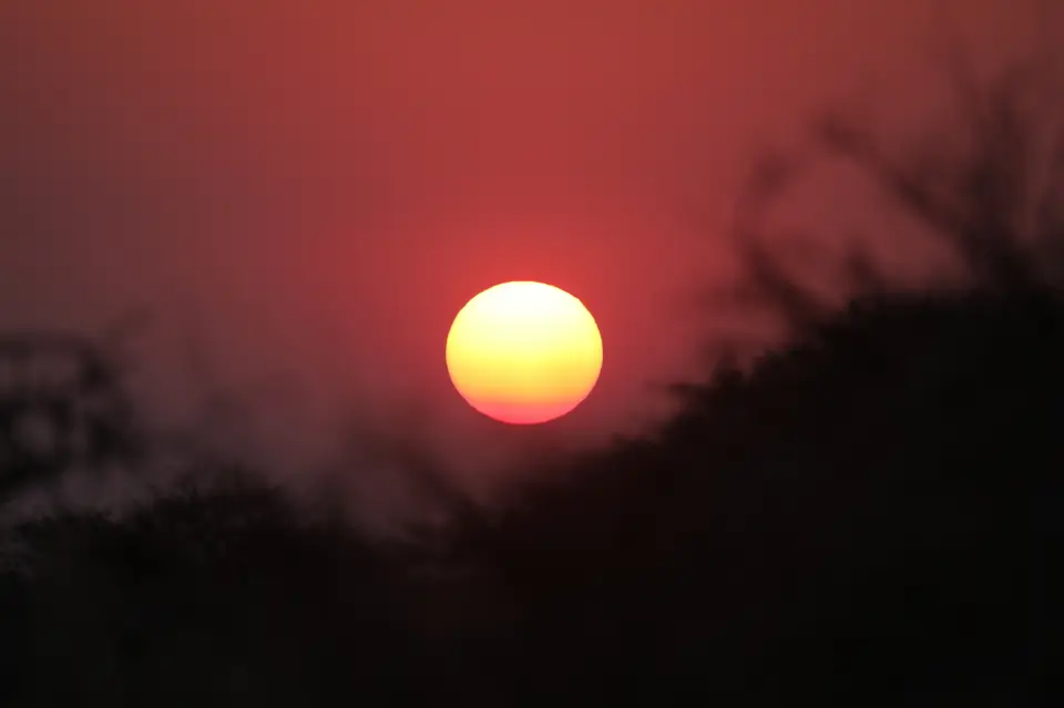 6B9A2315_1.JPG