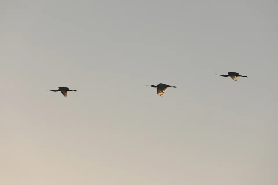 6B9A2677_1_1.JPG