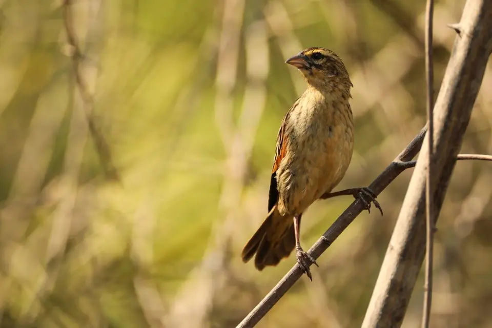 6B9A2845.jpg