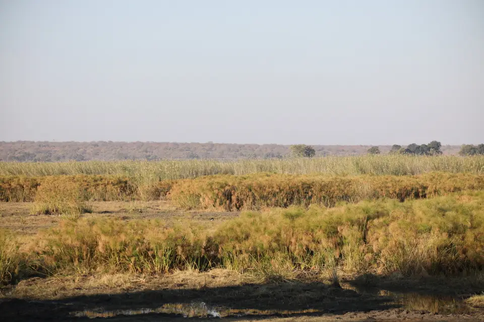 6B9A3515_1.JPG