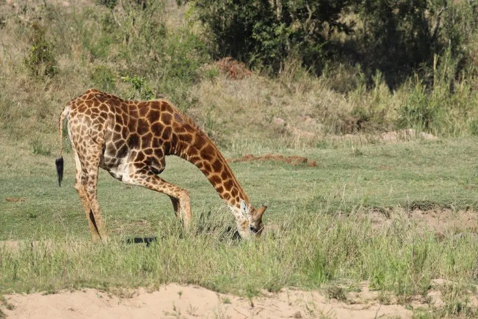 6B9A5794(2).jpg