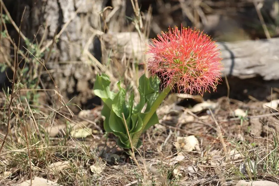 6B9A6071.jpg