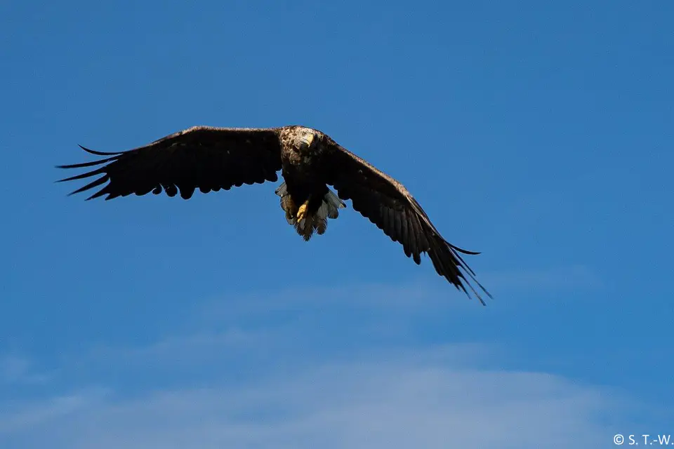 6B9A7892-2.jpg