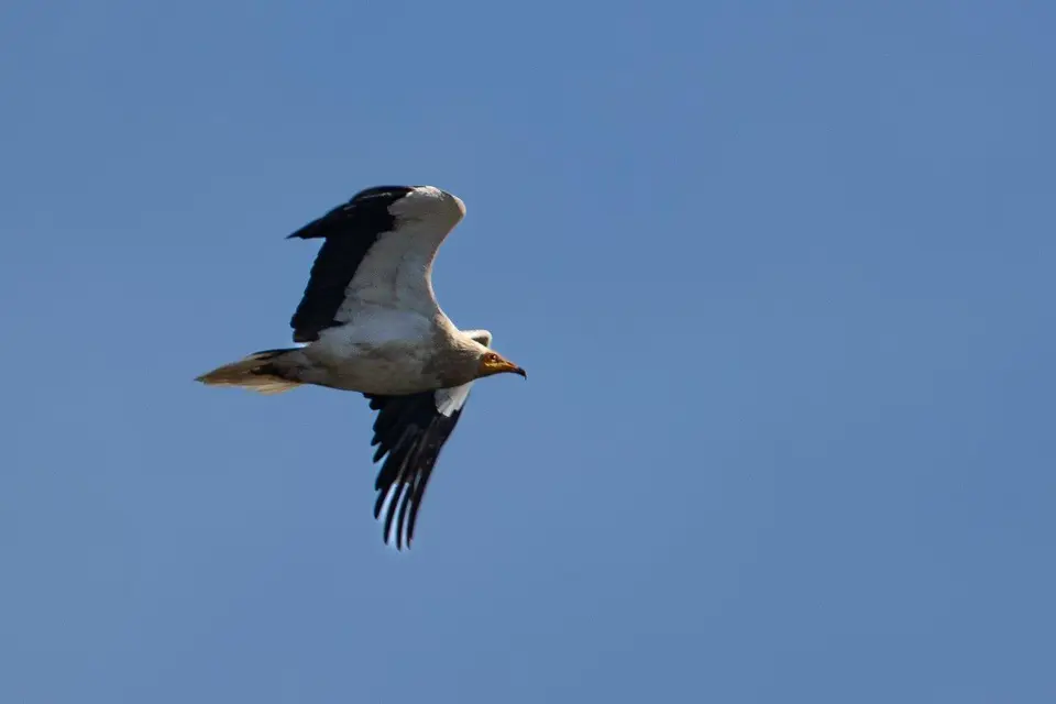 6B9A8401.jpg