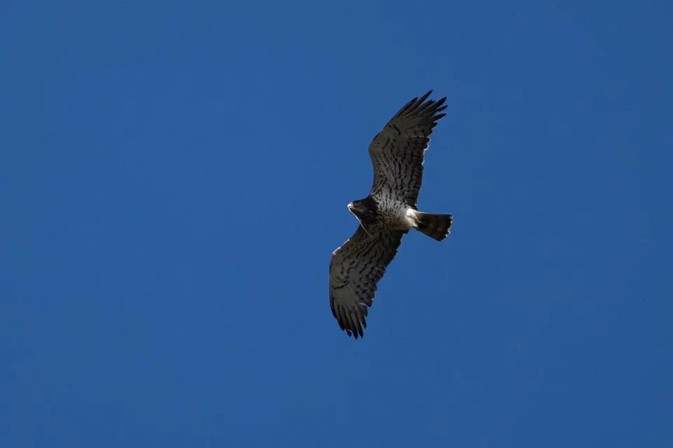 6B9A8594.jpg