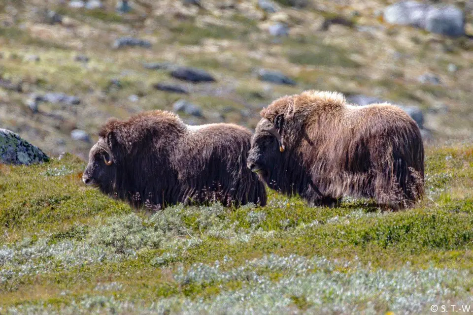 6B9A8890-2-2.jpg