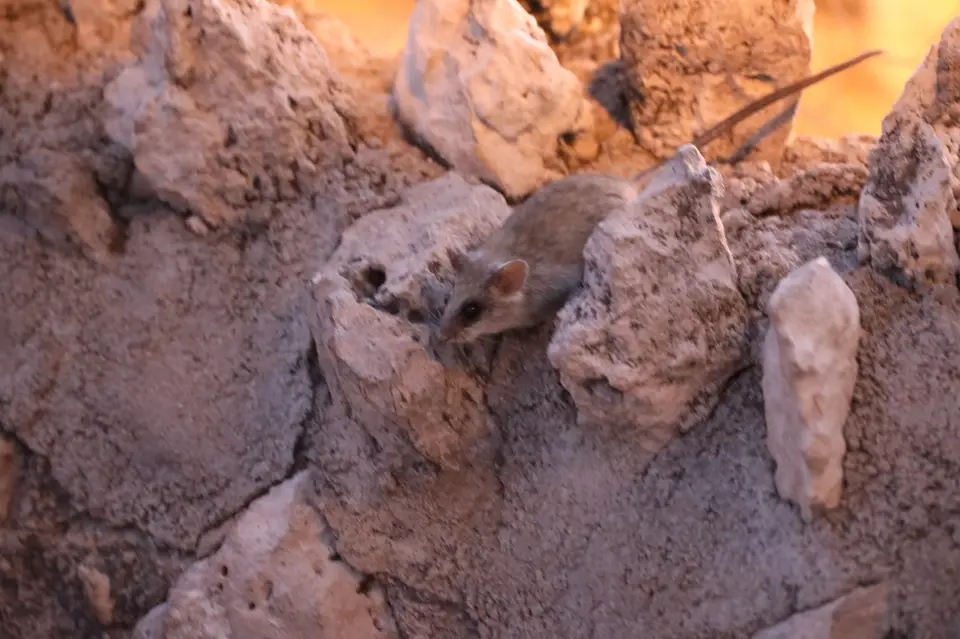 6B9A9808_1.JPG