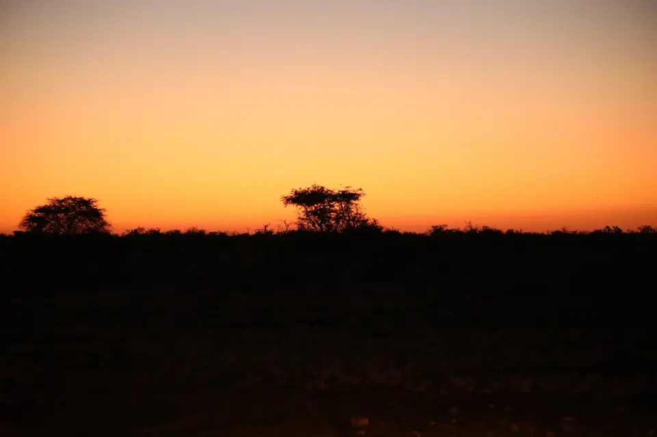 6B9A9813_1.JPG