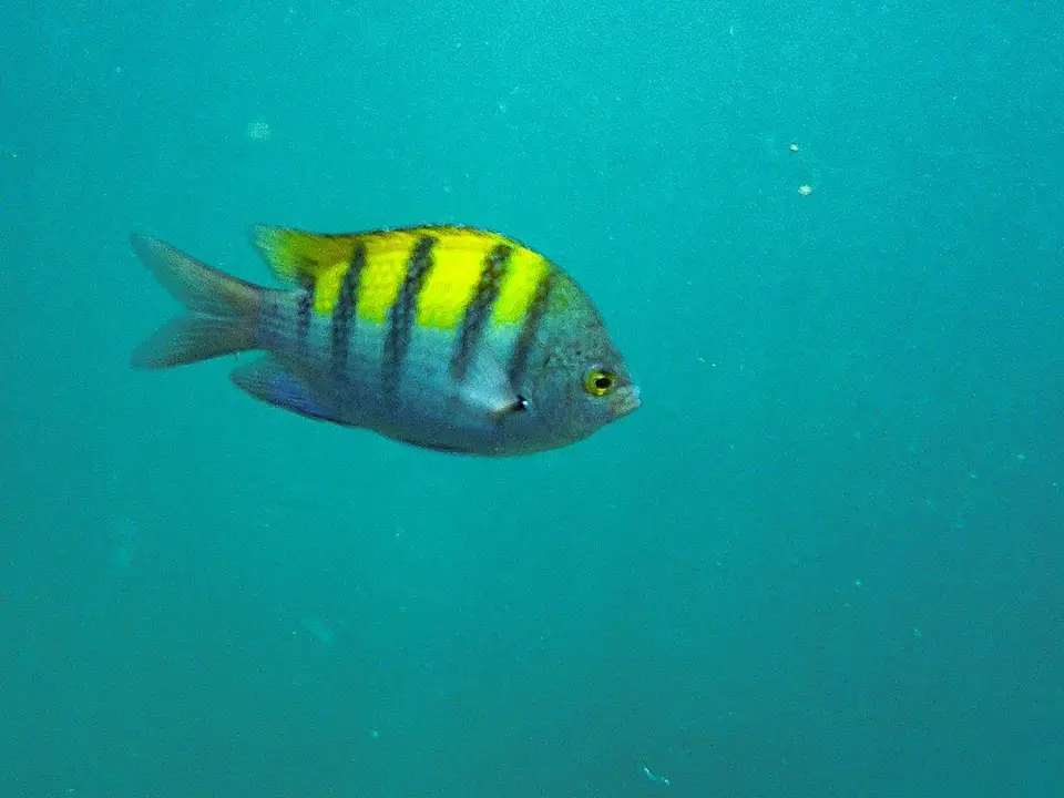 DSCF0051-2.jpg