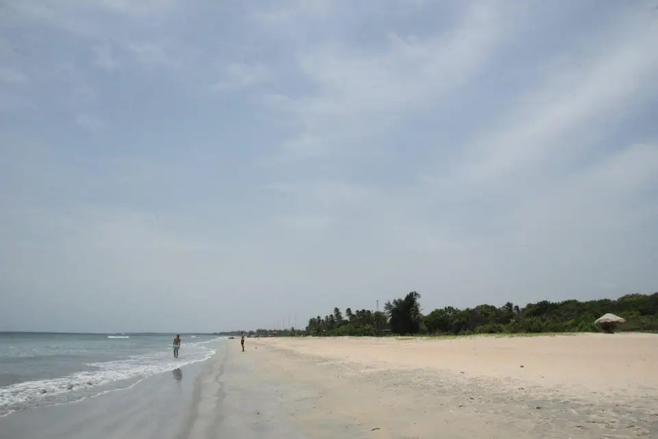 IMG_3765.jpg