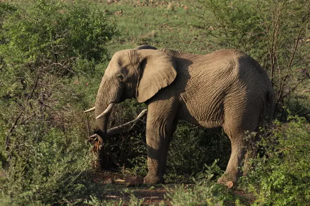 IMG_5189_1.JPG
