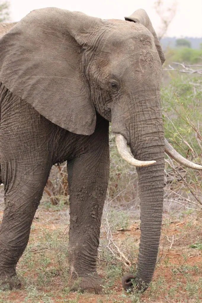 IMG_6229_1-2.jpg