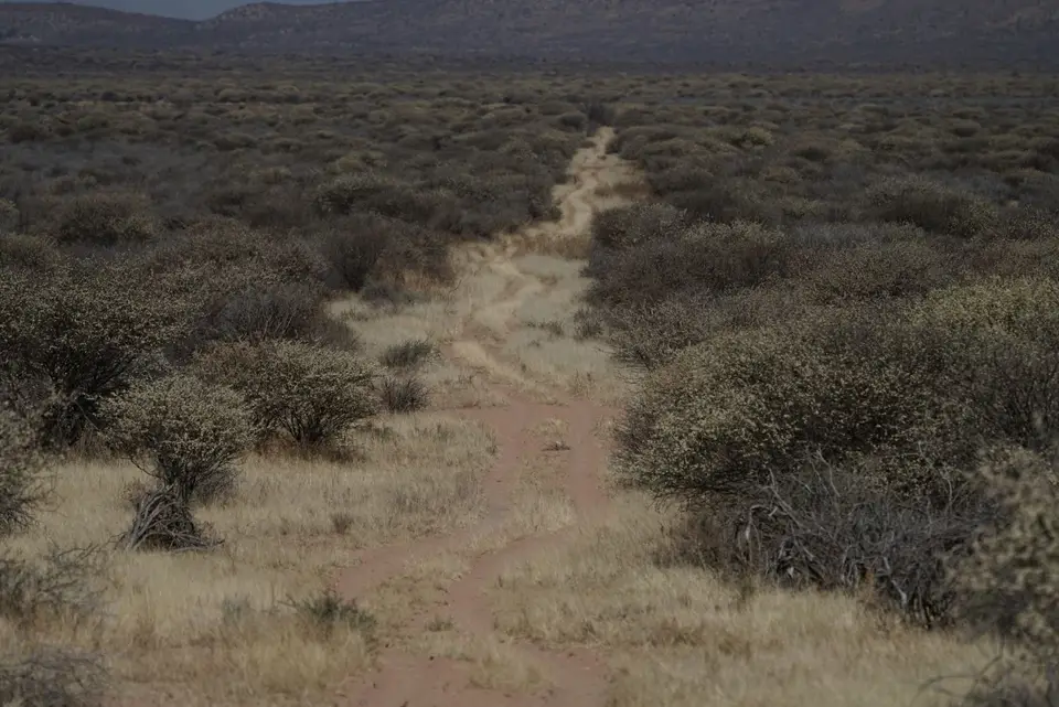 2017-08-20bMorgenGamedriveOkambaraElephantLodge021.JPG