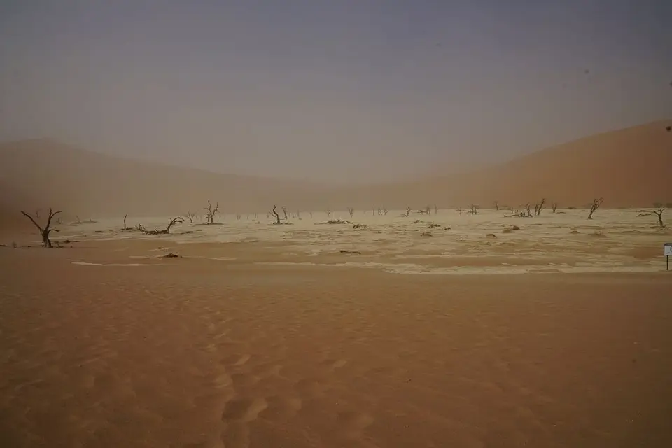 k-2017-09-03dDeadvlei026.JPG