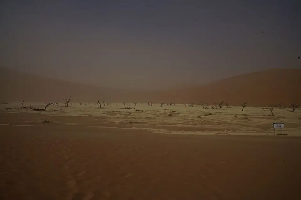 k-2017-09-03dDeadvlei030.JPG