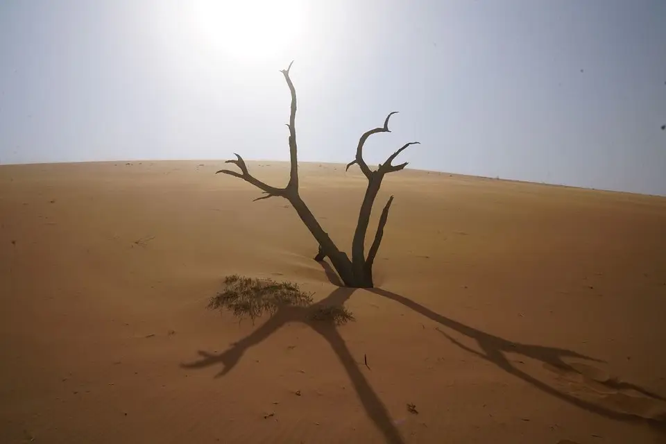 k-2017-09-03dDeadvlei052.JPG
