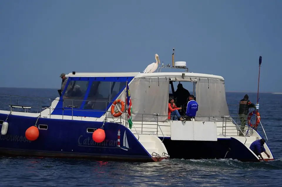 k-2017-09-06aBootstourWalvisBay218.JPG