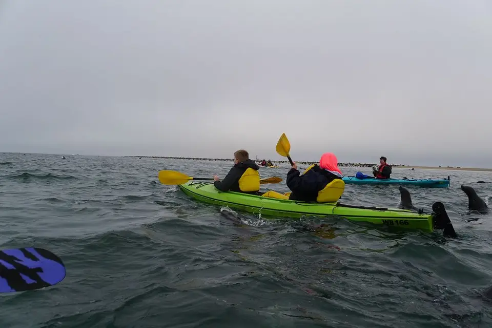 k-2018-05-21aWalvisBayKajakmitRobben021.JPG
