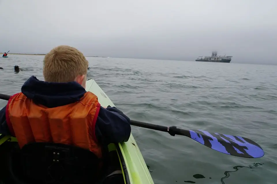 k-2018-05-21aWalvisBayKajakmitRobben057.JPG