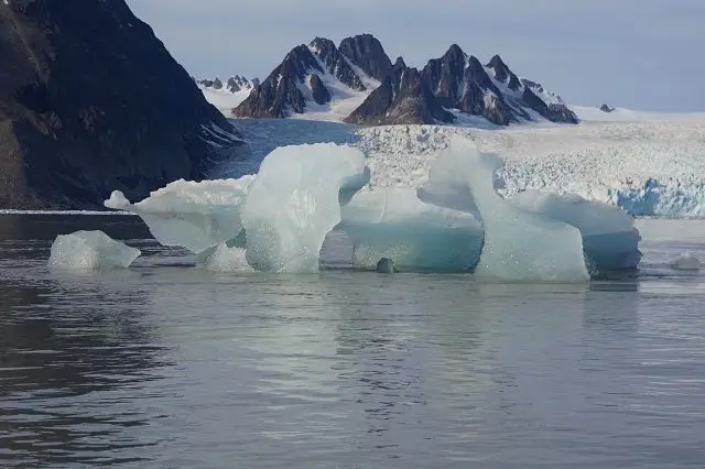 k-2018-08-05aMonacobreenimLiefdefjordLiebesfjord080.JPG