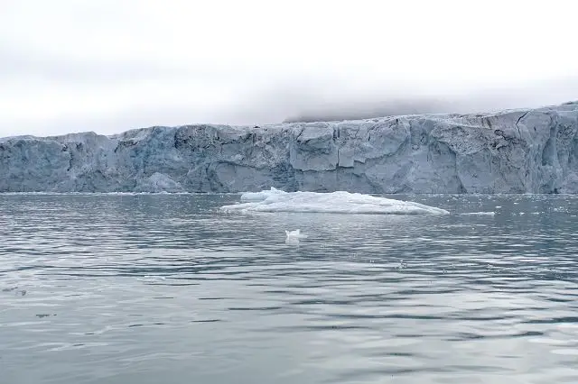 k-2018-08-09bSamarinbreen08.JPG