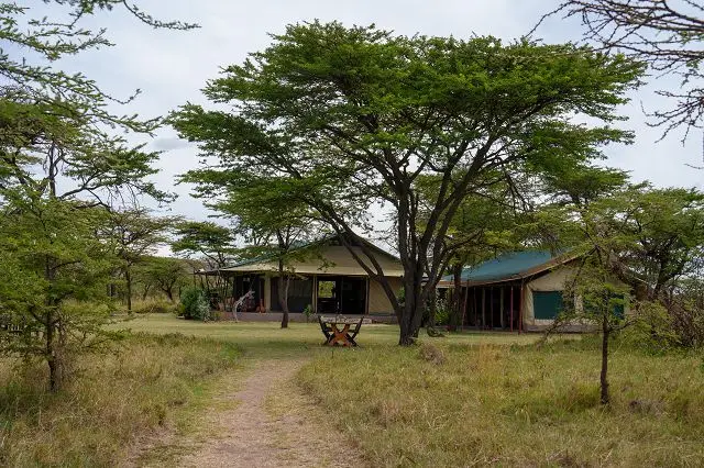 k-2022-11-28bKichecheBushCamp10.jpg