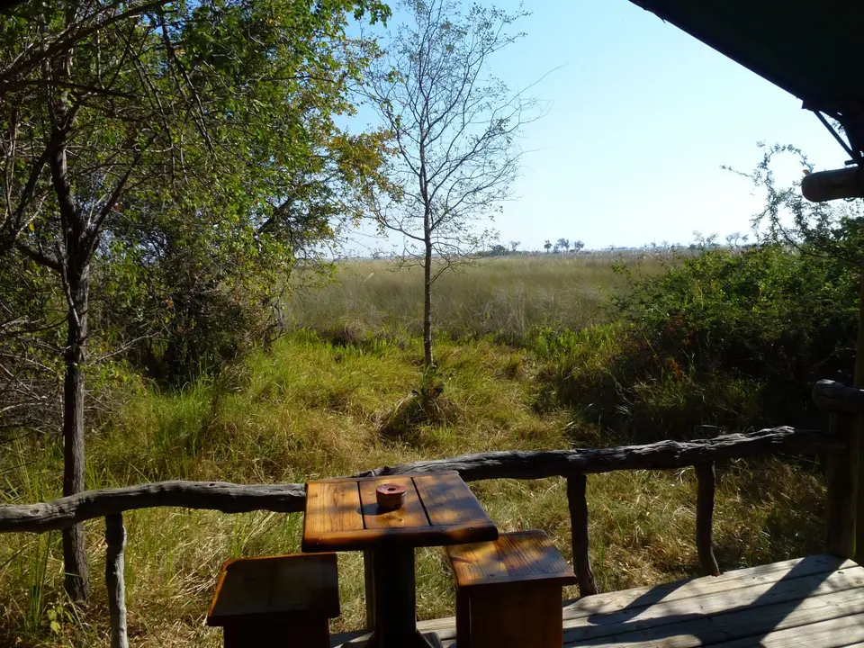 P1090881.jpg