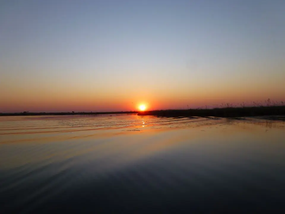 P1100008.jpg