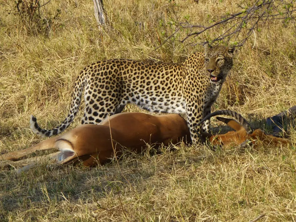 P1100584.jpg
