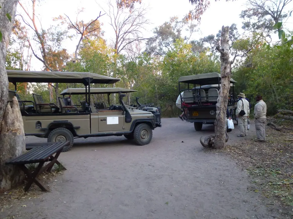 P1100832.jpg