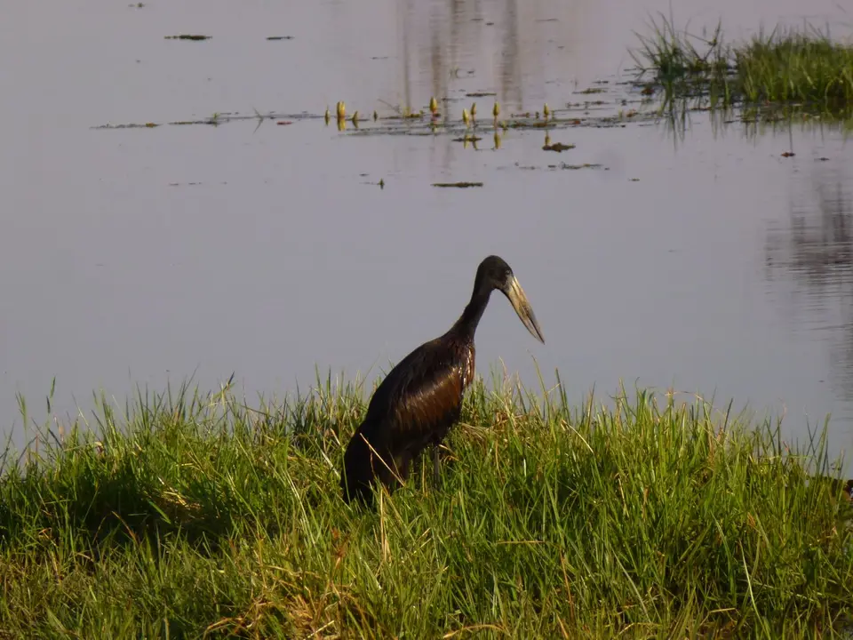 P1100836.jpg