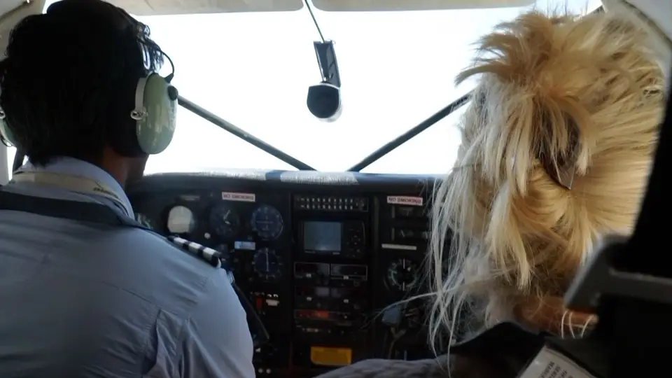 cockpit.jpg