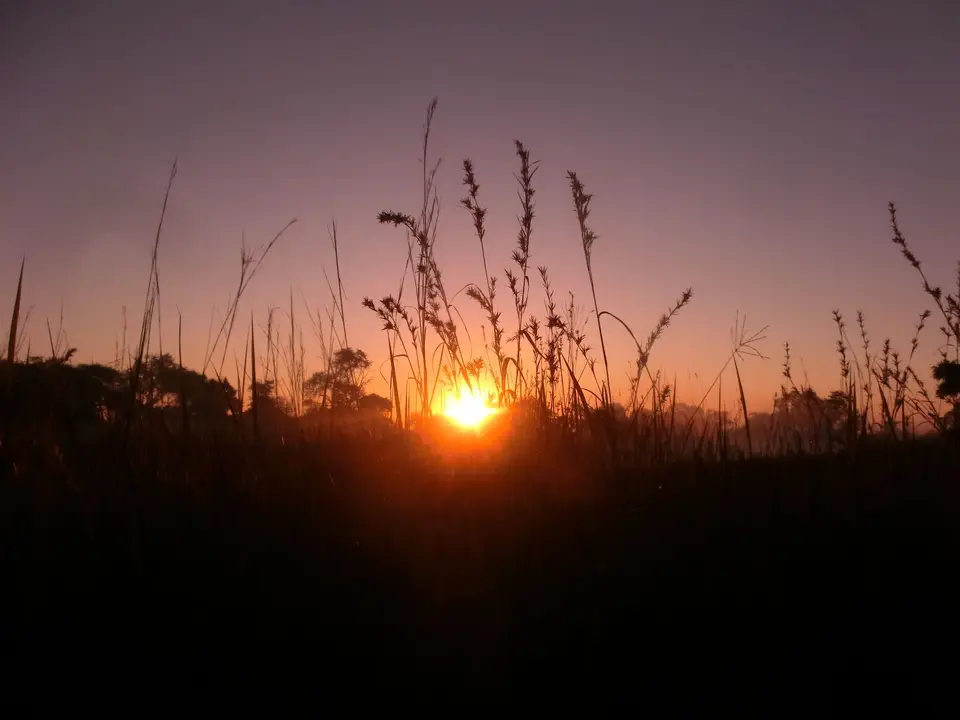 CIMG0458.JPG