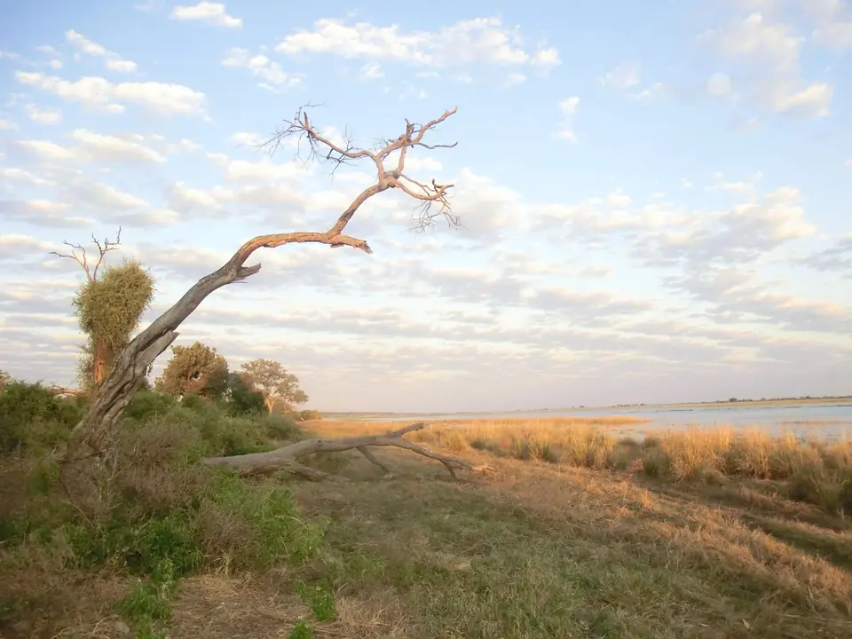 CIMG0867.JPG