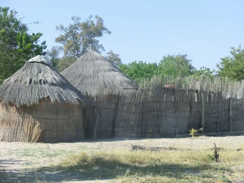 CIMG1175.JPG
