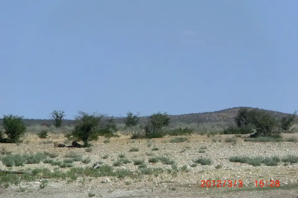 CIMG2199.JPG