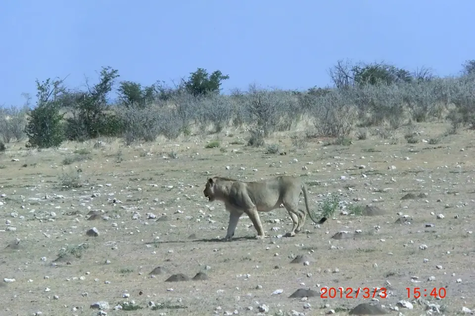 CIMG2207.JPG
