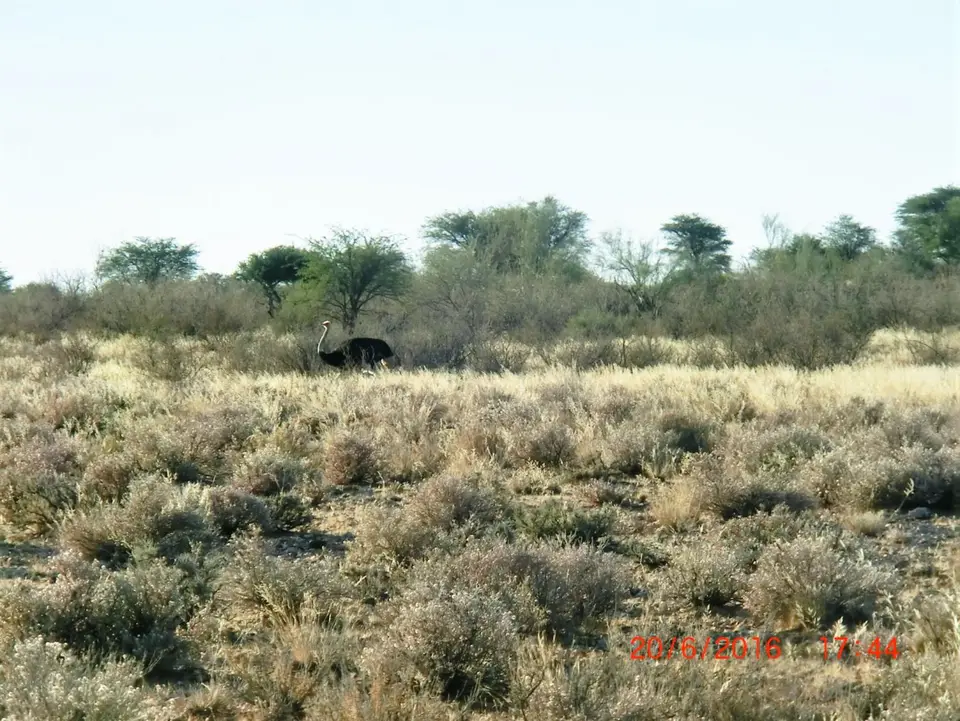 CIMG5087.JPG