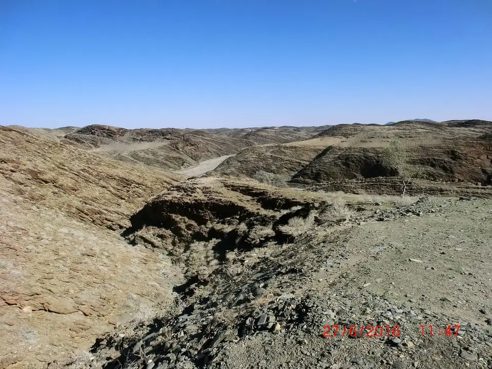 CIMG5946.JPG