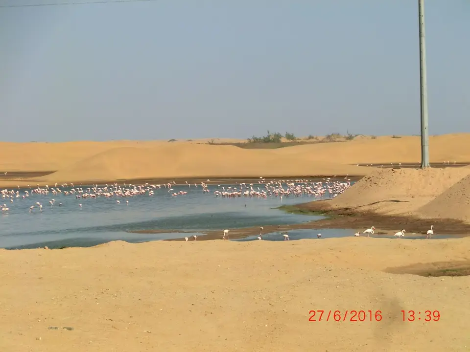 CIMG5962.JPG