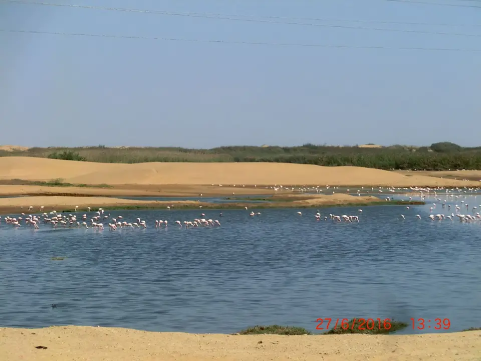 CIMG5963.JPG