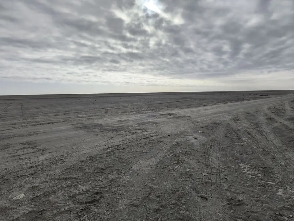 IMG_20250523_083557207_HDR.jpg