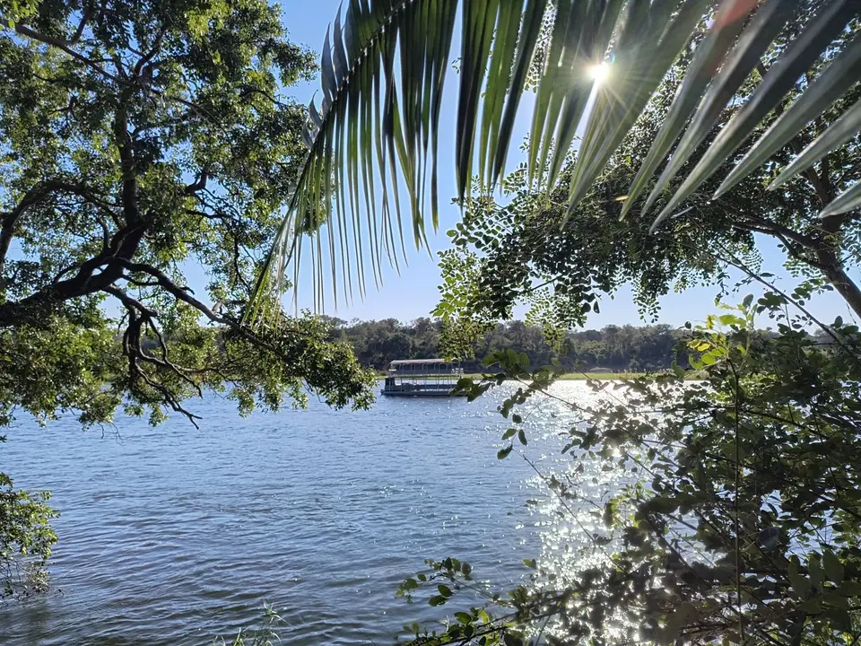 IMG_20250609_091304258_HDR.jpg